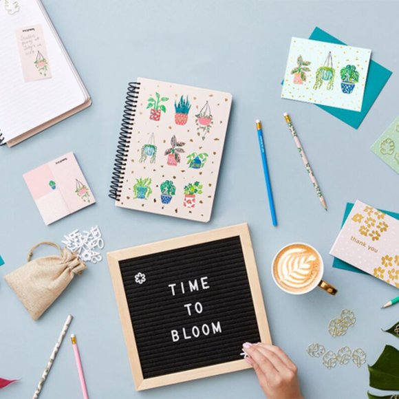 Xo, Sienna Felt Message Board - Picture 3 of 4